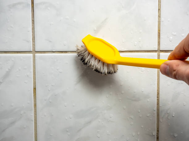 Best Attic Mold Removal  in Morton, MS